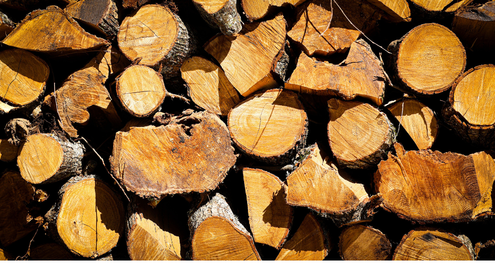 Bois de chauffage ou granulés pour chauffer une maison